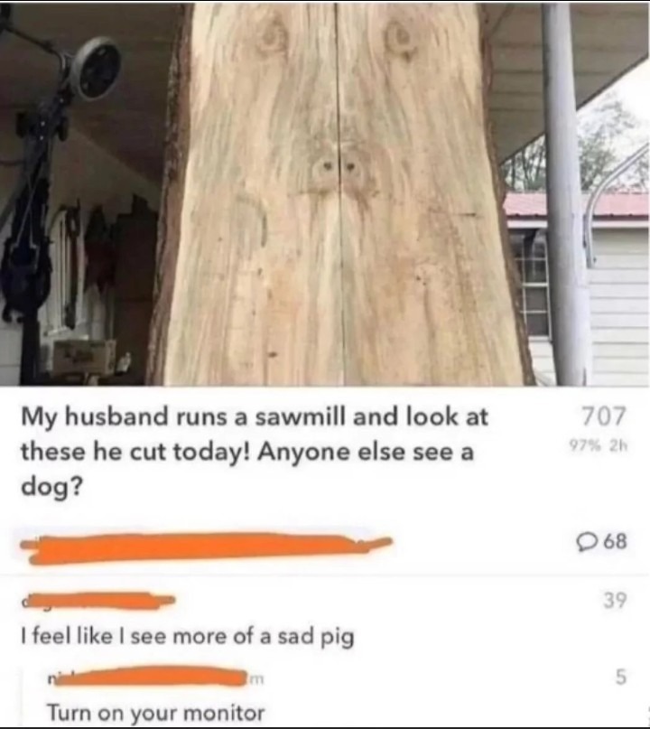 My husband runs a sawmill and look at these he cut today! Anyone else see a dog? I feel like I see more of a sad pig. Turn on your monitor.