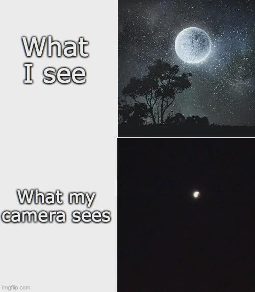 What I see What my camera sees