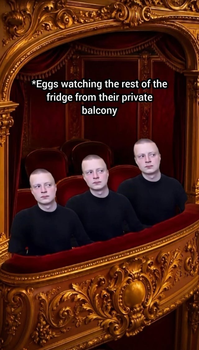 Eggs watching the rest of the fridge from their private balcony