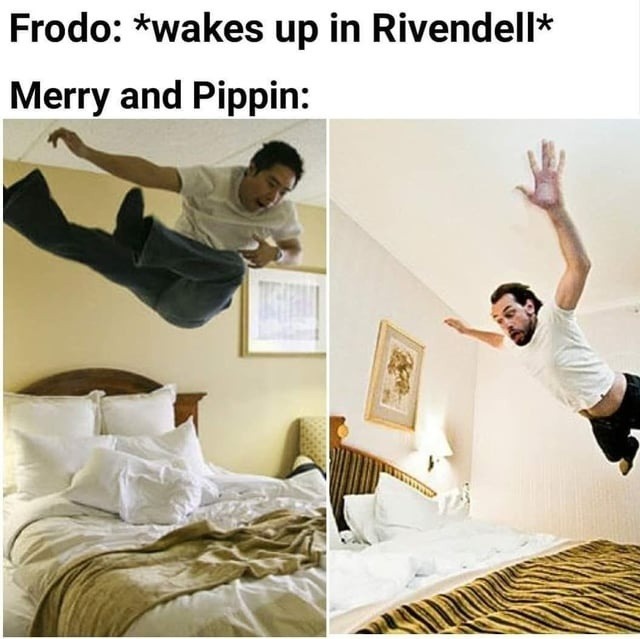 Frodo: *wakes up in Rivendell* Merry and Pippin: