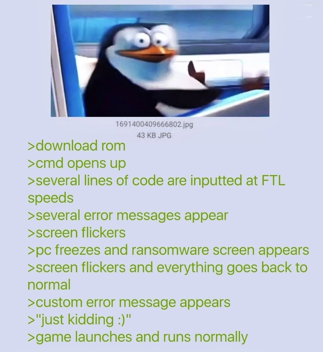 1691400409666802.jpg
43 KB JPG
>download rom
>cmd opens up
>several lines of code are inputted at FTL speeds
>several error messages appear
>screen flickers
>pc freezes and ransomware screen appears
>screen flickers and everything goes back to normal
>custom error message appears
>