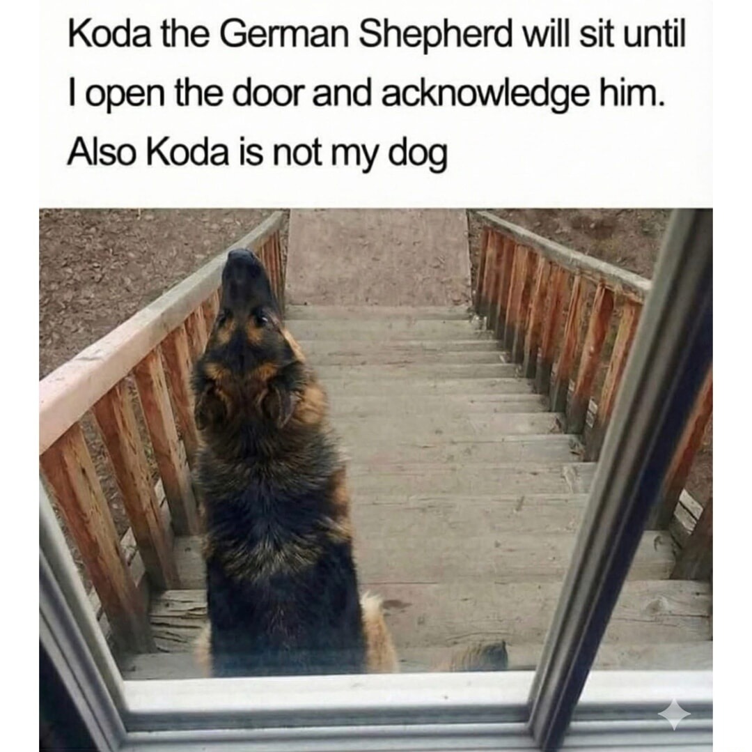 Koda the German Shepherd will sit until I open the door and acknowledge him. Also Koda is not my dog