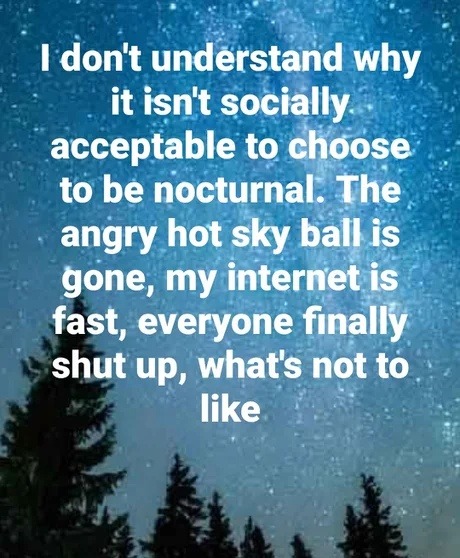 I don't understand why it isn't socially acceptable to choose to be nocturnal. The angry hot sky ball is gone, my internet is fast, everyone finally shut up, what's not to like