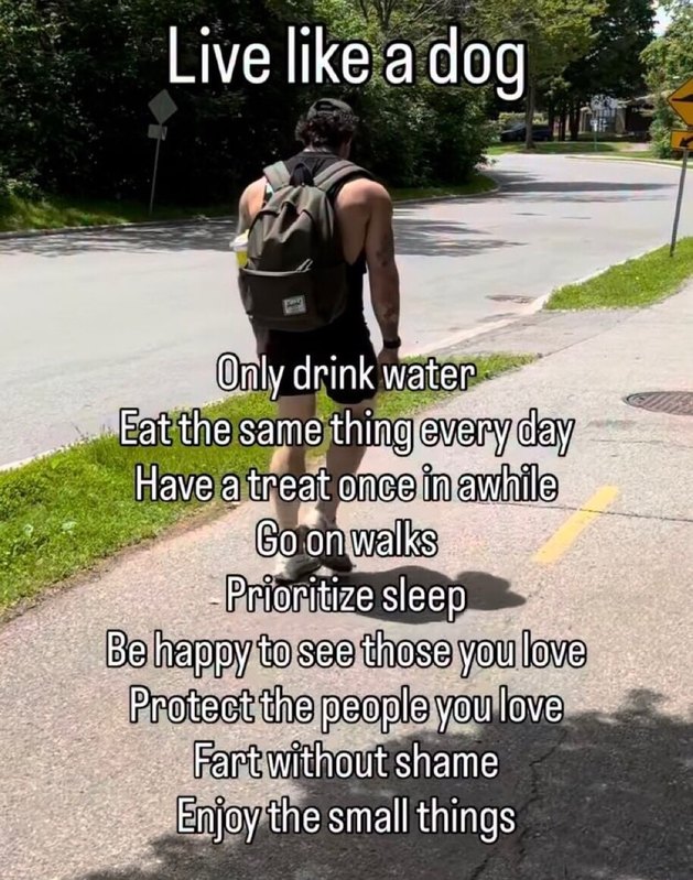 Live like a dog. Only drink water. Eat the same thing every day. Have a treat once in awhile. Go on walks. Prioritize sleep. Be happy to see those you love. Protect the people you love. Fart without shame. Enjoy the small things.