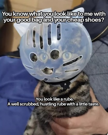 You know what you look like to me with your good bag and your cheap shoes? You look like a rube. A well scrubbed, hustling rube with a little taste.