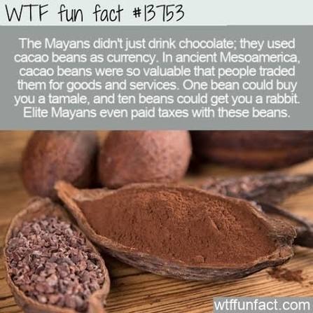 WTF fun fact #13753 The Mayans didn't just drink chocolate; they used cacao beans as currency. In ancient Mesoamerica, cacao beans were so valuable that people traded them for goods and services. One bean could buy you a tamale, and ten beans could get you a rabbit. Elite Mayans even paid taxes with these beans.