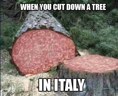 WHEN YOU CUT DOWN A TREE IN ITALY