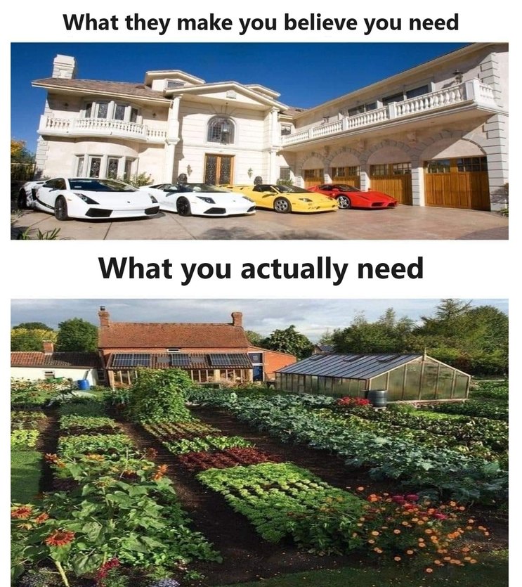 What they make you believe you need. What you actually need.