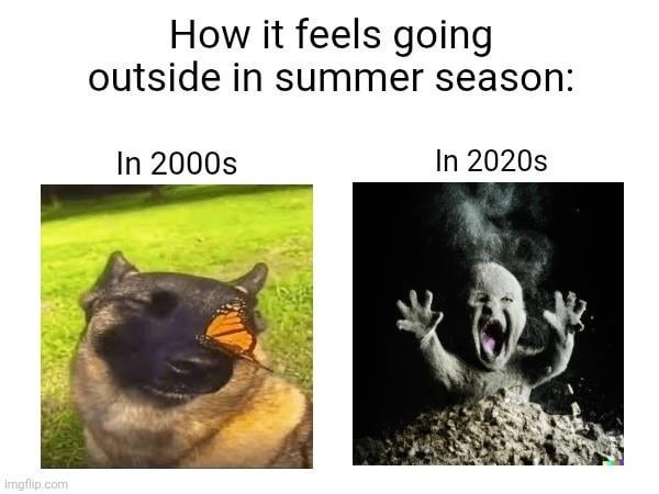 How it feels going outside in summer season: In 2000s, a peaceful dog with a butterfly on its nose in a sunny field. In 2020s, a screaming, distressed creature emerging from dirt with smoke and dust around it.