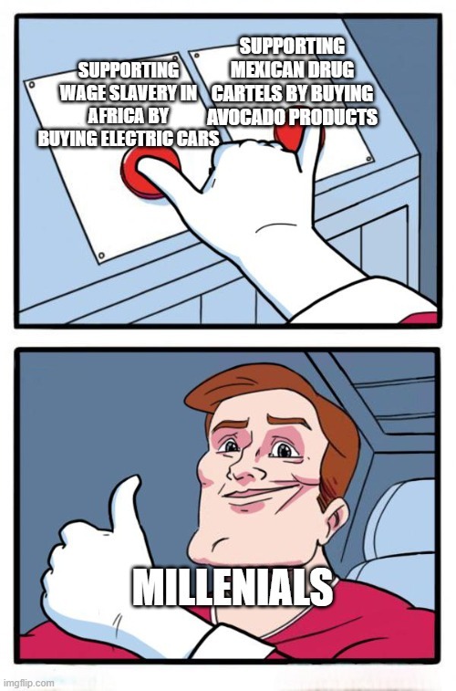 SUPPORTING WAGE SLAVERY IN AFRICA BY BUYING ELECTRIC CARS SUPPORTING MEXICAN DRUG CARTELS BY BUYING AVOCADO PRODUCTS MILLENNIALS