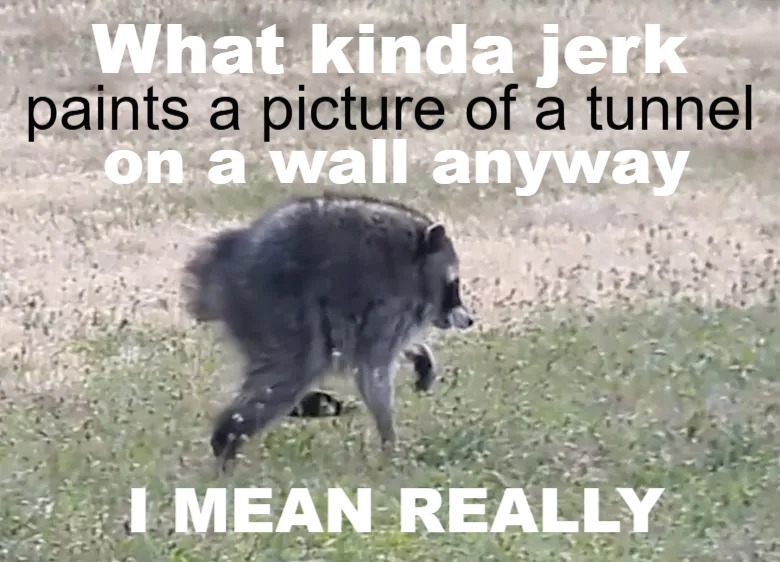What kinda jerk paints a picture of a tunnel on a wall anyway I MEAN REALLY