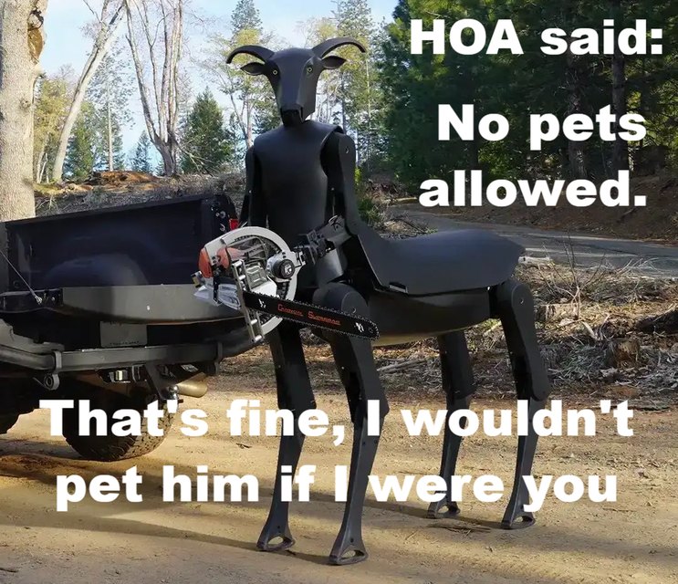 HOA said: No pets allowed. That's fine, I wouldn't pet him if I were you