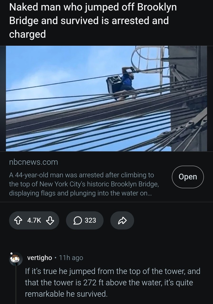 Naked man who jumped off Brooklyn Bridge and survived is arrested and charged. A 44-year-old man was arrested after climbing to the top of New York City's historic Brooklyn Bridge, displaying flags and plunging into the water. If it's true he jumped from the top of the tower, and that the tower is 272 ft above the water, it's quite remarkable he su