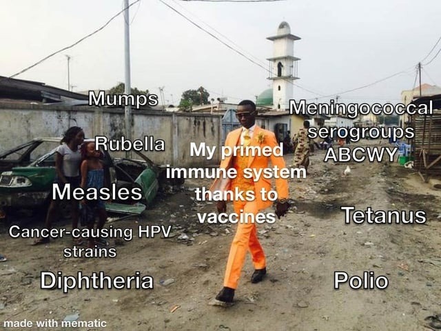 Mumps, Rubella, Measles, Cancer-causing HPV strains, Diphtheria, Meningococcal serogroups ABCWY, Tetanus, Polio. My primed immune system thanks to vaccines. made with mematic.
