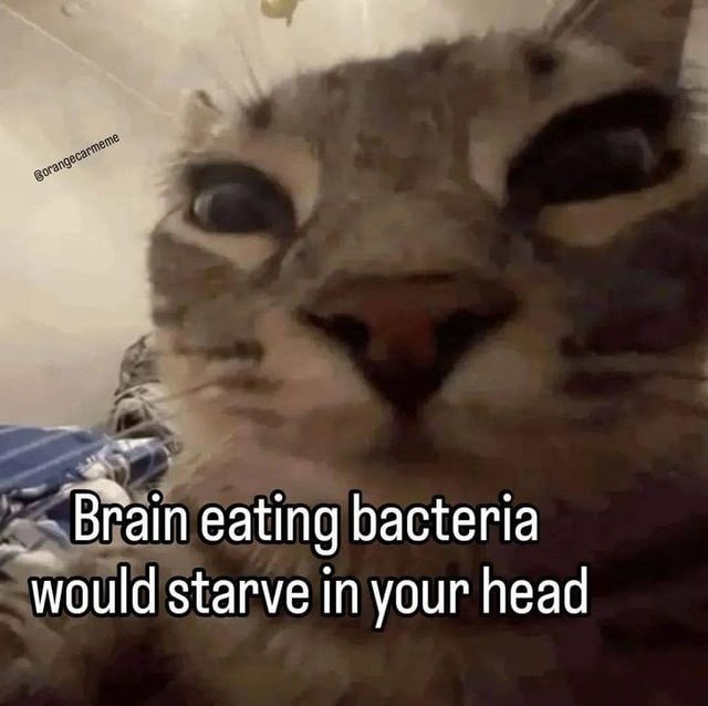 Brain eating bacteria would starve in your head