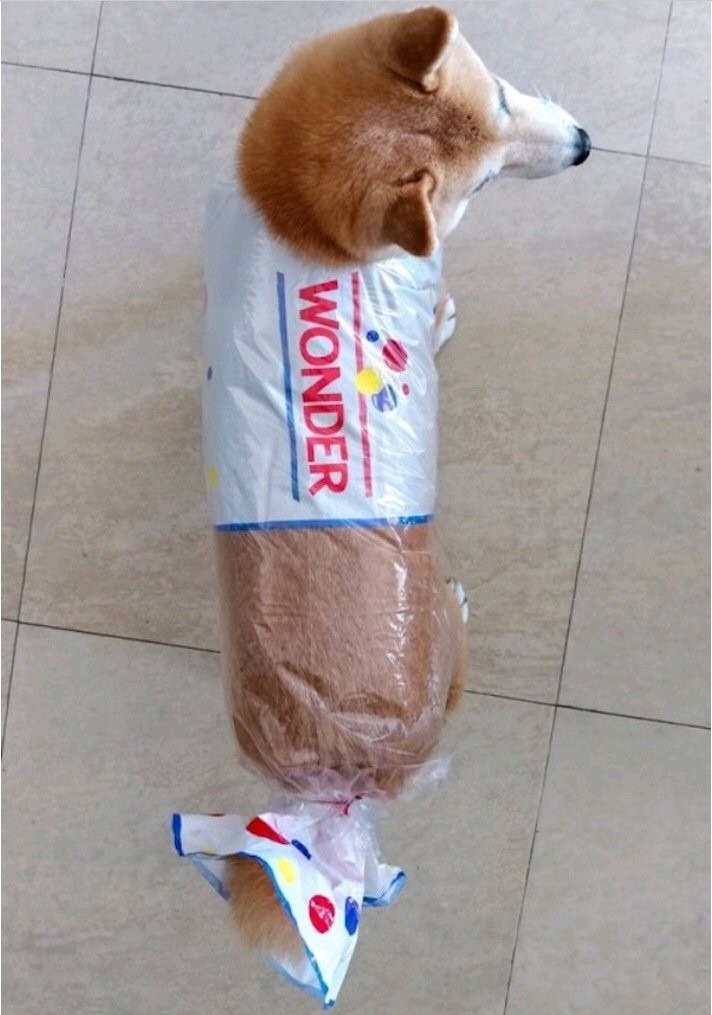 WONDER