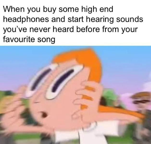 When you buy some high end headphones and start hearing sounds you've never heard before from your favourite song