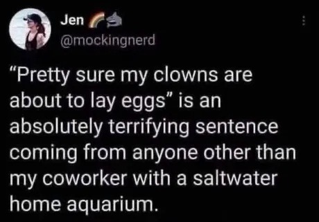 Jen @mockingnerd 