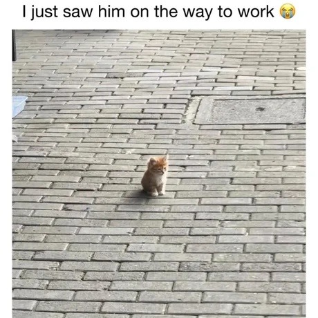 I just saw him on the way to work 😭