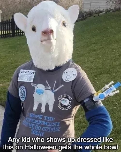 COVIDIOT OBEY GOOD LITTLE SHEEP WEAR THEIR MASK I HOPE THE GOVERNMENT LETS ME GO OUTSIDE TODAY Any kid who shows up dressed like this on Halloween gets the whole bowl