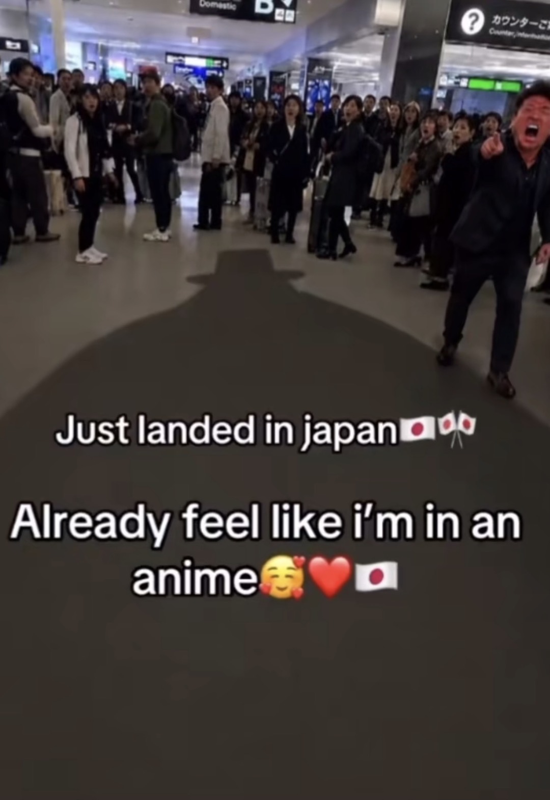 Just landed in Japan. Already feel like I'm in an anime.
