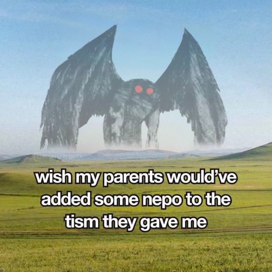 wish my parents would've added some nepo to the tism they gave me