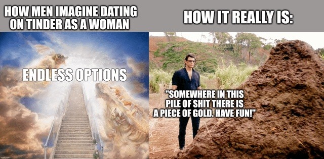HOW MEN IMAGINE DATING ON TINDER AS A WOMAN ENDLESS OPTIONS HOW IT REALLY IS: 