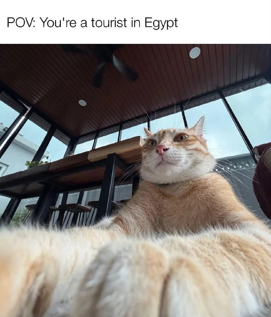 POV: You're a tourist in Egypt