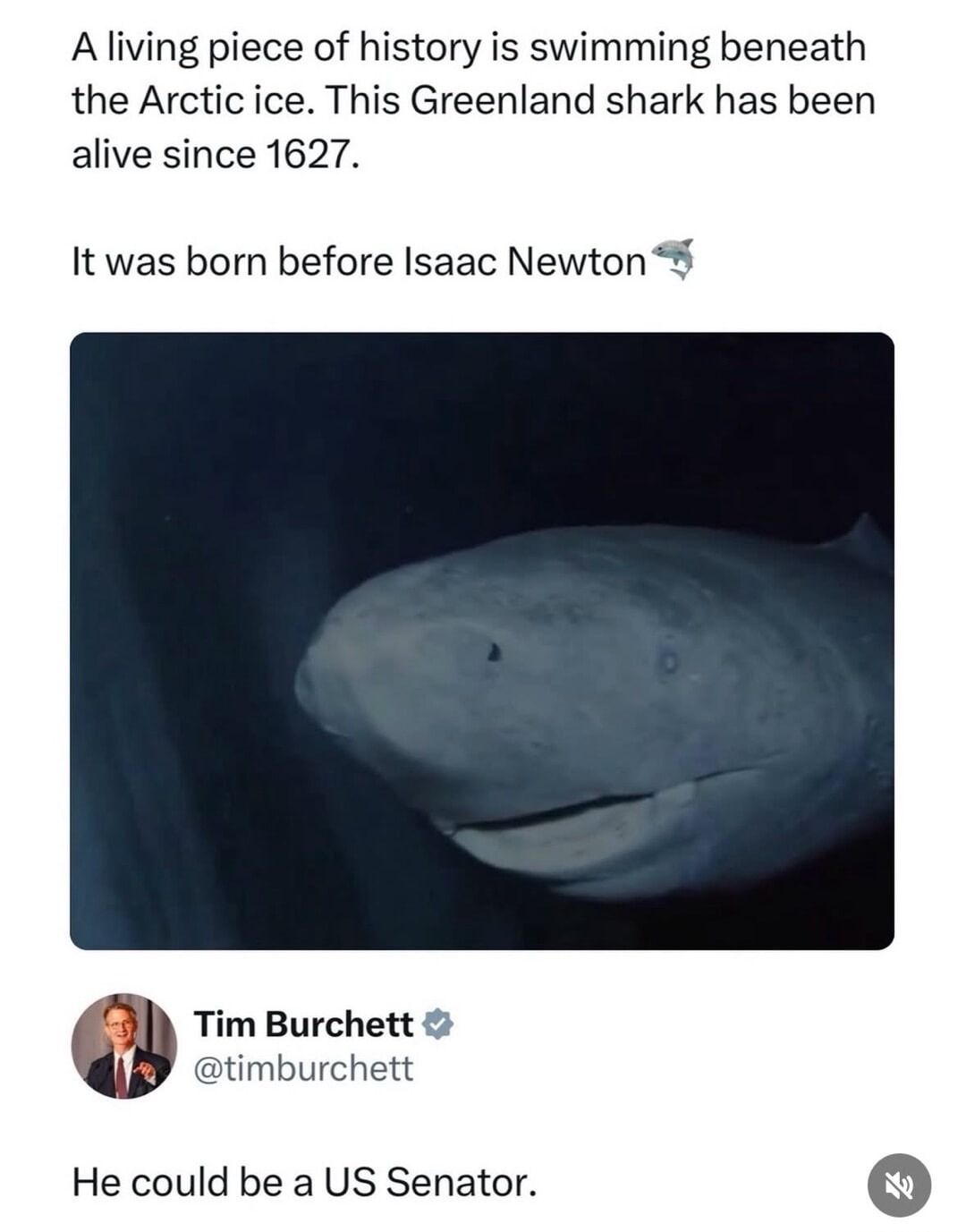 A living piece of history is swimming beneath the Arctic ice. This Greenland shark has been alive since 1627. It was born before Isaac Newton. Tim Burchett @timburchett. He could be a US Senator.