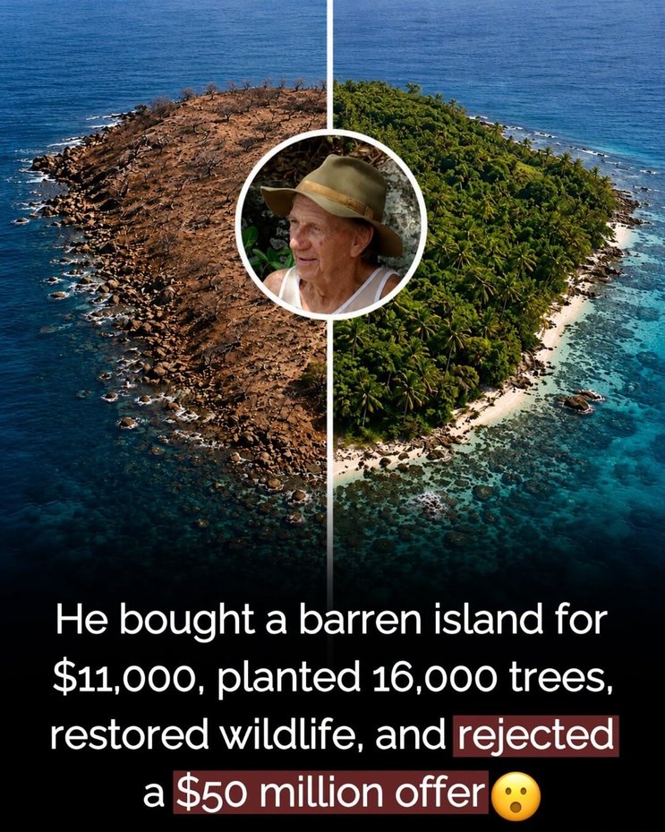 He bought a barren island for $11,000, planted 16,000 trees, restored wildlife, and rejected a $50 million offer 😮
