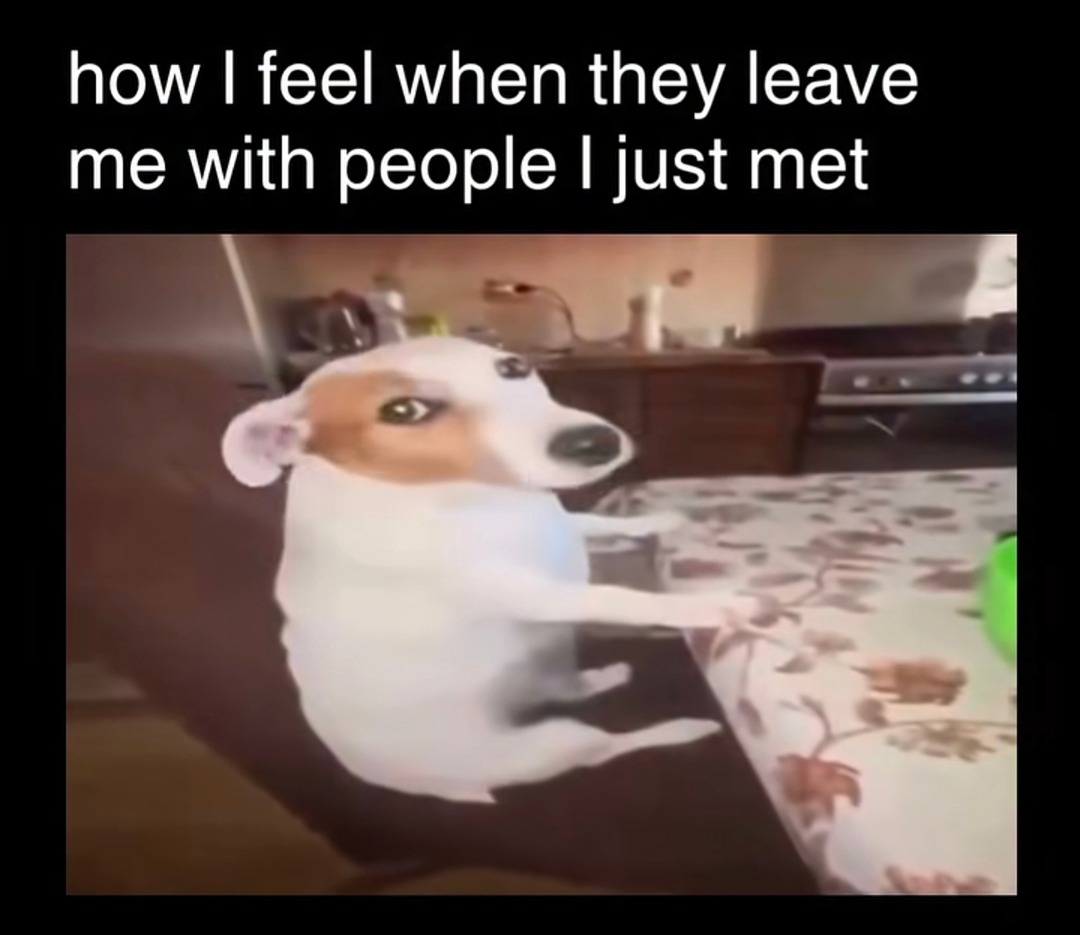 how I feel when they leave me with people I just met