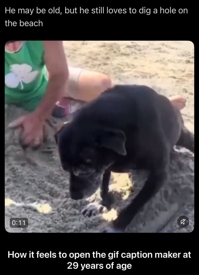 He may be old, but he still loves to dig a hole on the beach. How it feels to open the gif caption maker at 29 years of age.