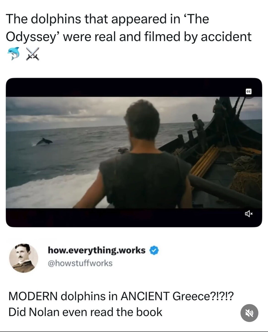 The dolphins that appeared in 'The Odyssey' were real and filmed by accident. MODERN dolphins in ANCIENT Greece?!?!?. Did Nolan even read the book.