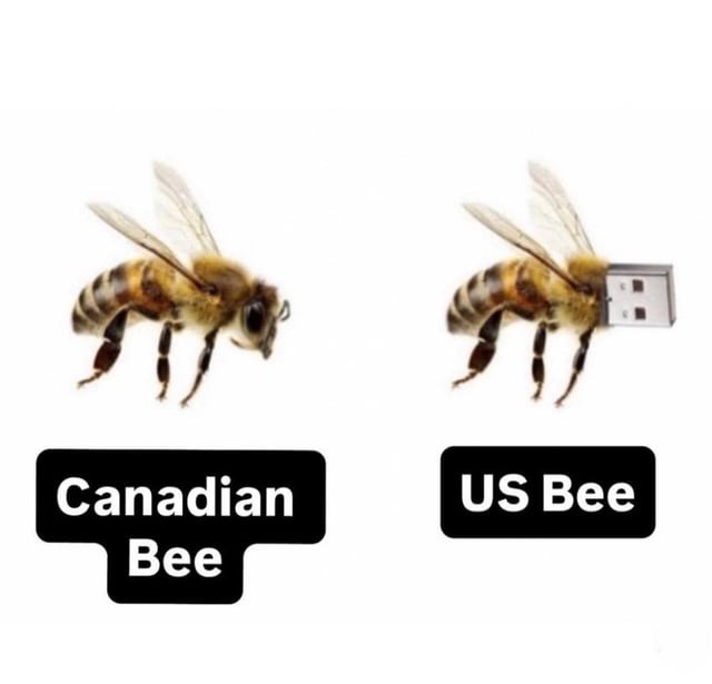 Canadian Bee US Bee (The image shows a normal bee labeled 'Canadian Bee' and a bee with a USB stick replacing its stinger labeled 'US Bee', playing on the pronunciation of 'USB'.)