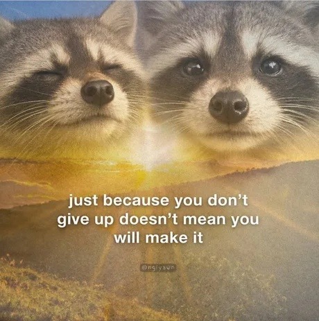 just because you don't give up doesn't mean you will make it