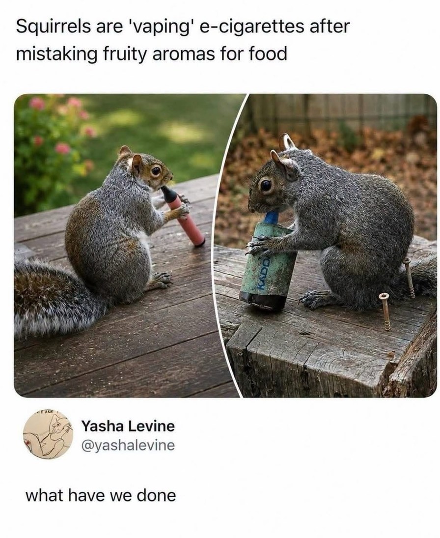 Squirrels are 'vaping' e-cigarettes after mistaking fruity aromas for food. Yasha Levine @yashalevine what have we done