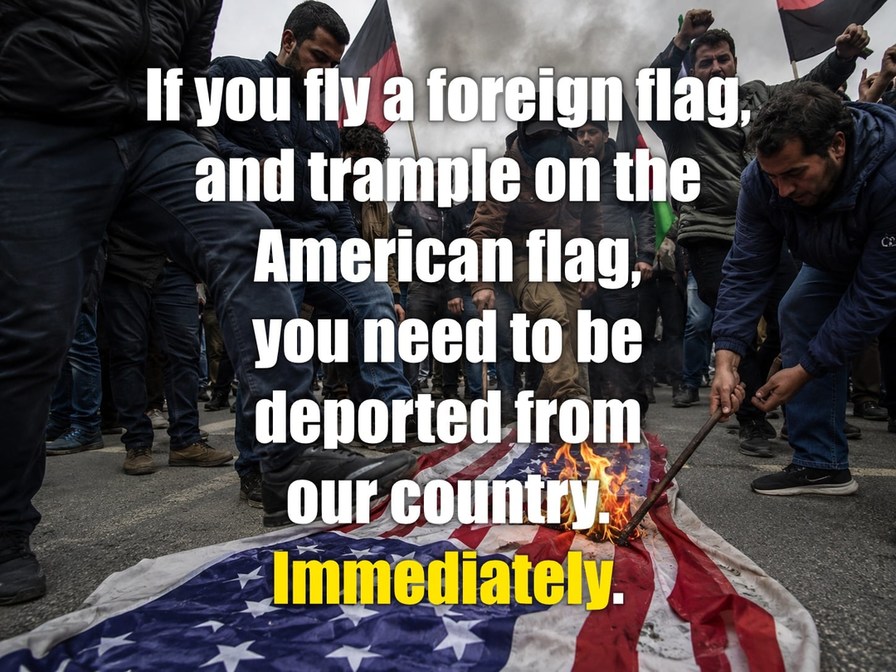 If you fly a foreign flag, and trample on the American flag, you need to be deported from our country. Immediately.