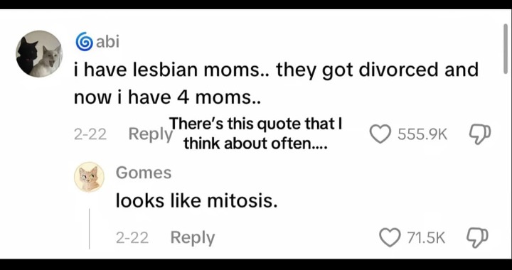 i have lesbian moms.. they got divorced and now i have 4 moms.. There's this quote that I think about often.... looks like mitosis.