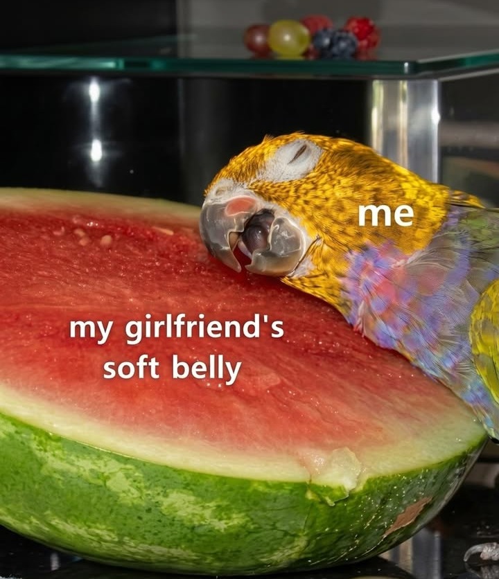 me my girlfriend's soft belly
