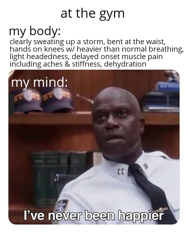 at the gym my body: clearly sweating up a storm, bent at the waist, hands on knees w/ heavier than normal breathing, light headedness, delayed onset muscle pain including aches & stiffness, dehydration my mind: I've never been happier