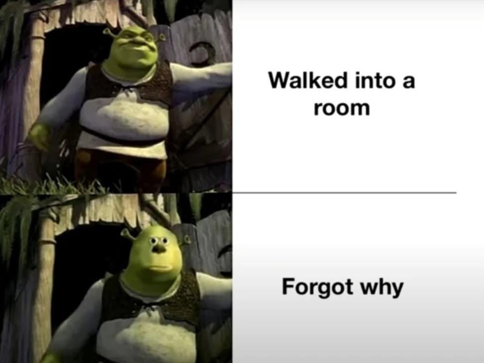 Walked into a room Forgot why