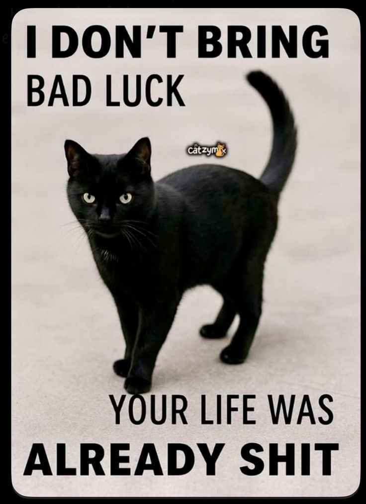 I DON'T BRING BAD LUCK YOUR LIFE WAS ALREADY SHIT