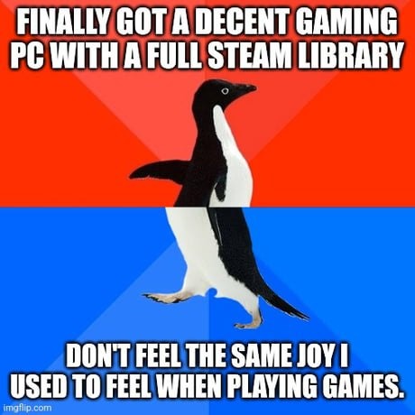FINALLY GOT A DECENT GAMING PC WITH A FULL STEAM LIBRARY DON'T FEEL THE SAME JOY I USED TO FEEL WHEN PLAYING GAMES.