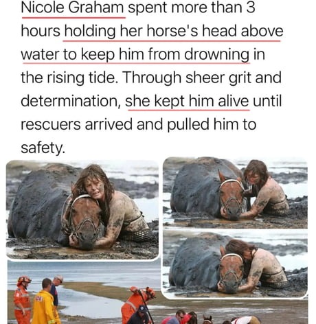 Nicole Graham spent more than 3 hours holding her horse's head above water to keep him from drowning in the rising tide. Through sheer grit and determination, she kept him alive until rescuers arrived and pulled him to safety.