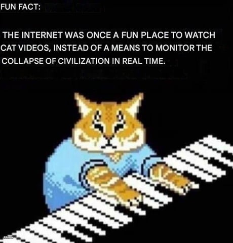 FUN FACT: THE INTERNET WAS ONCE A FUN PLACE TO WATCH CAT VIDEOS, INSTEAD OF A MEANS TO MONITOR THE COLLAPSE OF CIVILIZATION IN REAL TIME.