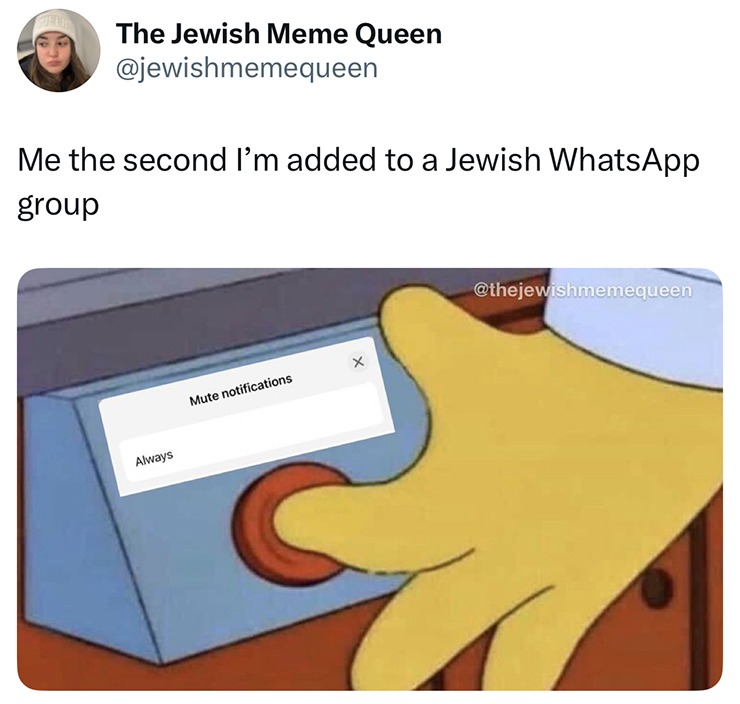 The Jewish Meme Queen @jewishmemequeen Me the second I'm added to a Jewish WhatsApp group Mute notifications Always @thejewishmemequeen