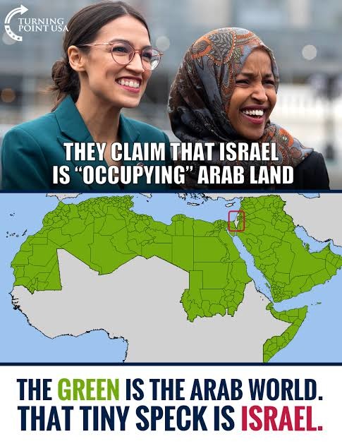TURNING POINT USA. THEY CLAIM THAT ISRAEL IS 