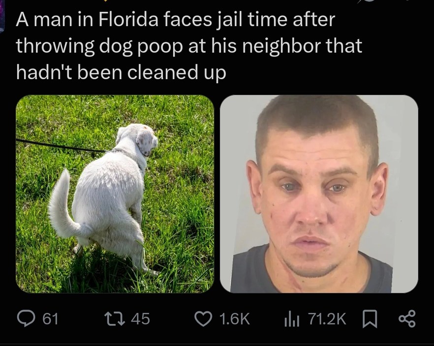 A man in Florida faces jail time after throwing dog poop at his neighbor that hadn't been cleaned up