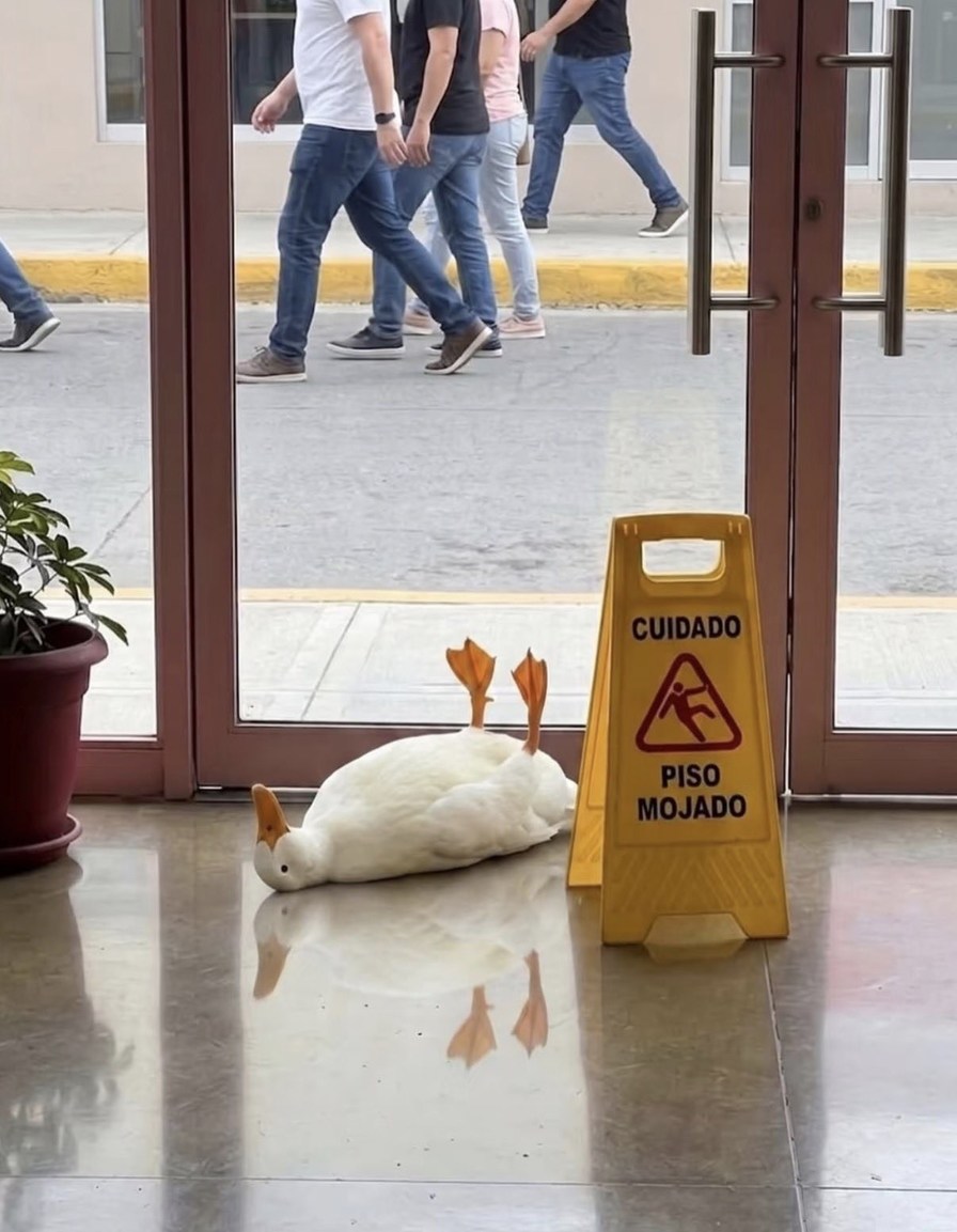 CAUTION WET FLOOR