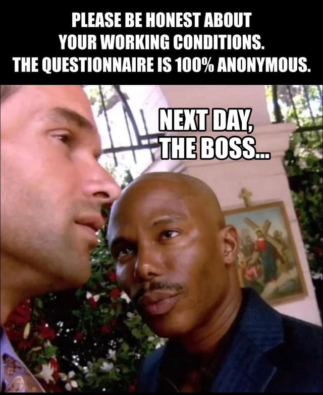 PLEASE BE HONEST ABOUT YOUR WORKING CONDITIONS. THE QUESTIONNAIRE IS 100% ANONYMOUS. NEXT DAY, THE BOSS...